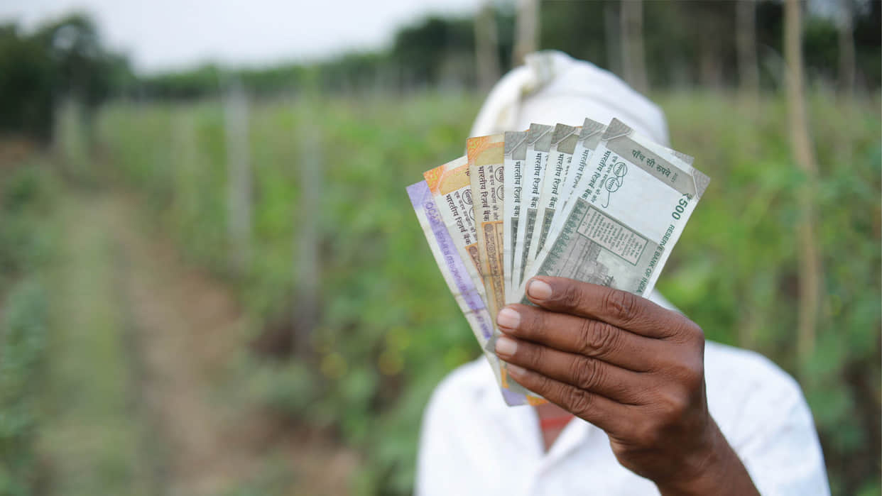 PM Kisan Yojana 22th Installment Stuck Due to These Reasons Eligible Farmers Complete Task