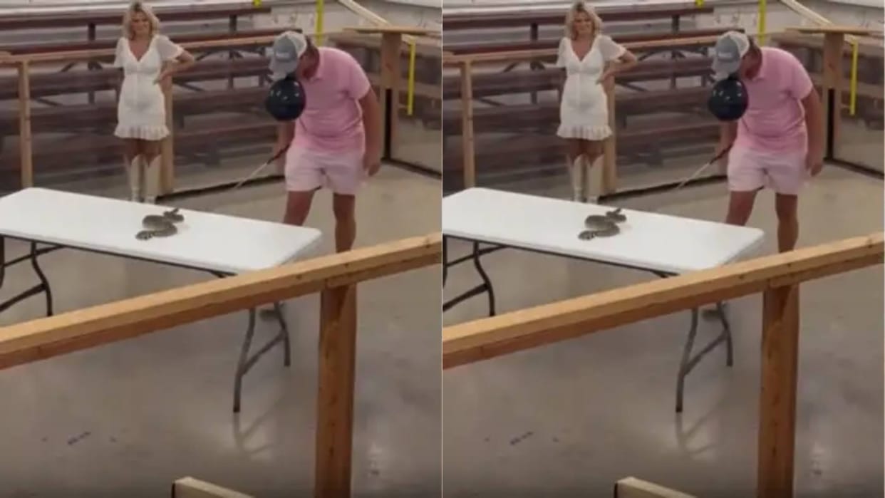 As soon as the man holding a balloon in his mouth teased the snake something happened Video goes Viral