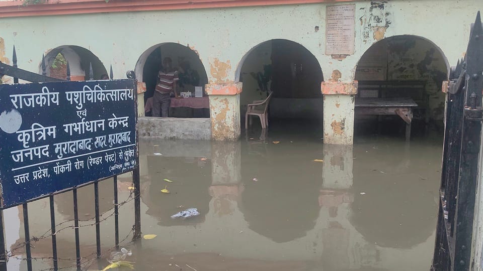 Photos of heavy rain in Moradabad: Ramganga and Gagan rivers in spate, 93.4 mm rain fell in 15 hours