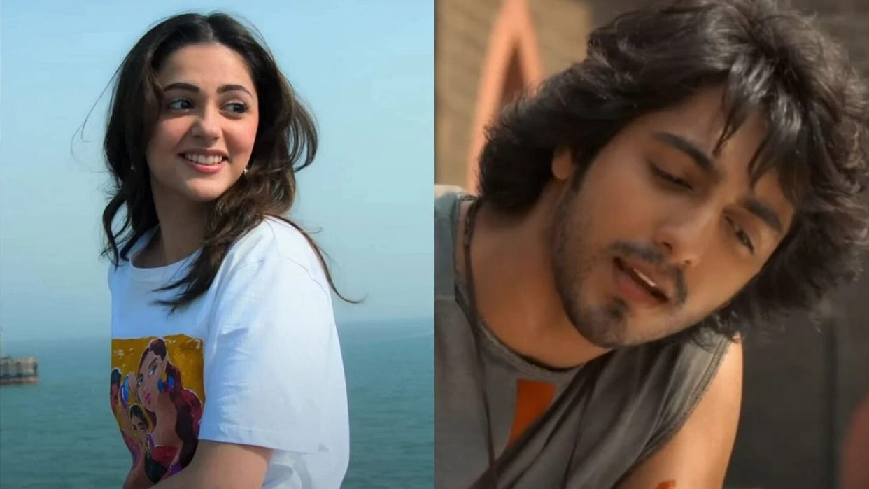 Saiyaara Box Office Collection Ahaan Panday Starrer Film Beats Dhadak 2 On Day 19th Collection