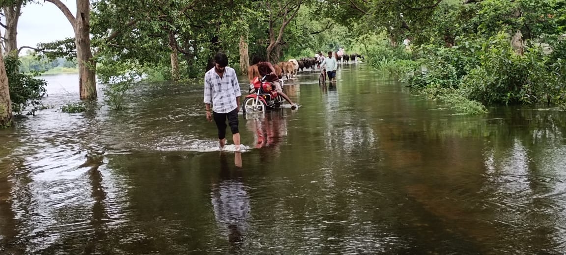 Ganga Floods in Hastinapur: Villages Turn into Islands as River Crosses Danger Mark
