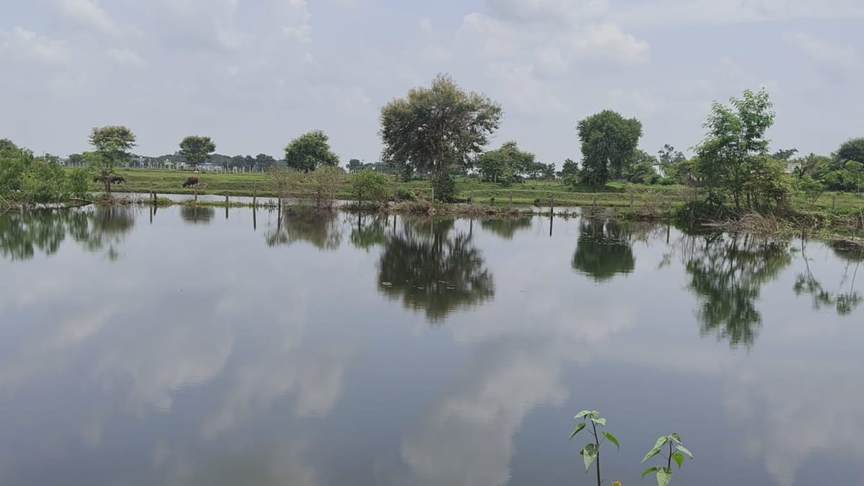 Rain became disaster for farmers of Godpandri village