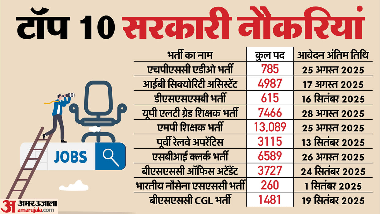 Government Jobs August 2025: 42,114 Vacancies for 10th to Graduate Pass Candidates; Check Top 10 Recruitments