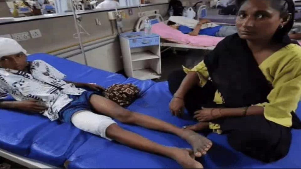 Bully dog attacked four people in Karnal
