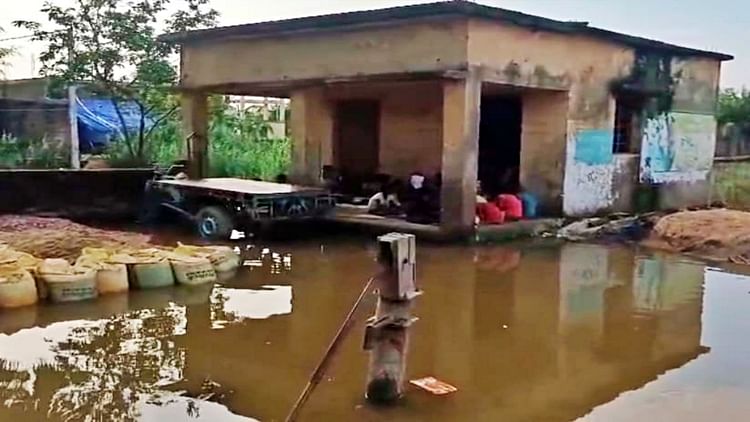 Bihar Flood: बारिश आई...आफत लाई, अरमा गांव के महादलित मोहल्लों में जलजमाव; छत पर रात गुजारने को मजबूर लोग