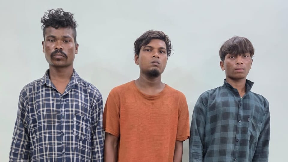 Police caught three accused who escaped by jumping over prison wall
