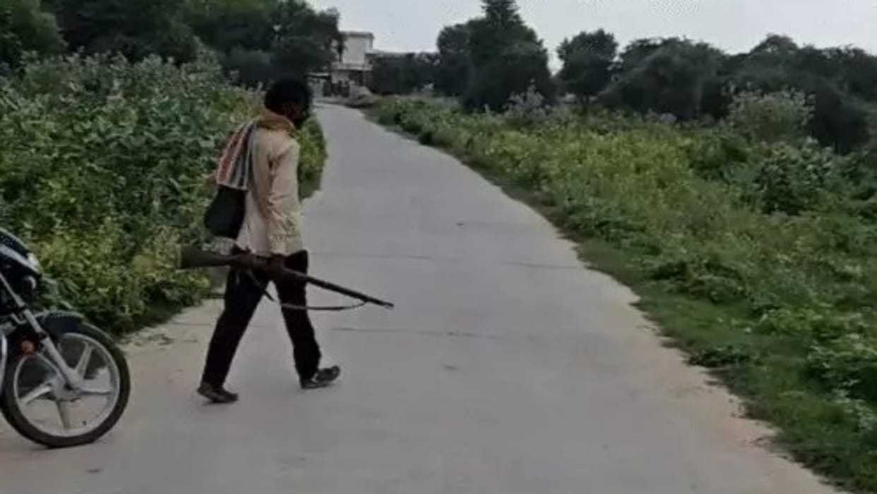 Rajasthan News: Disturbed by stray dog menace, man shoots 25 dogs in village; police launch search for accused
