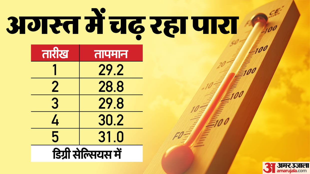 Monsoon missing in Malwa-Nimar, farmers in distress, pests wreaking havoc on soybean
