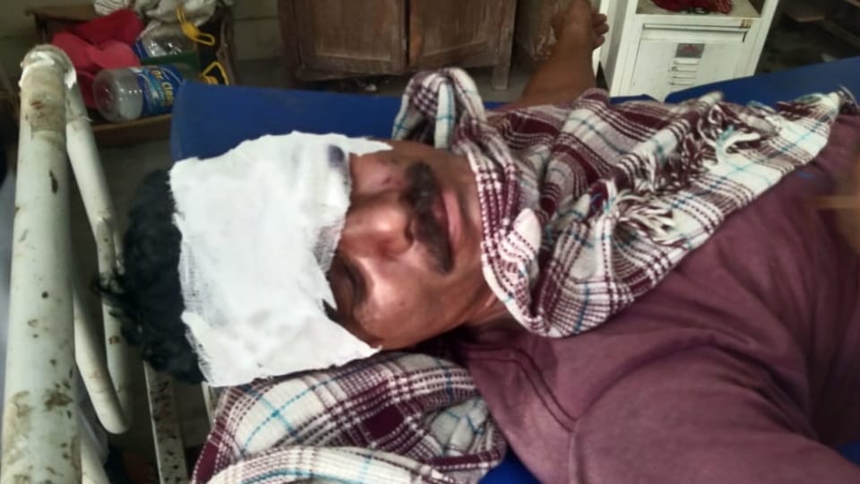 Chamoli News bear attack On man who went to repair drinking water line In Karanprayag higher centre refer