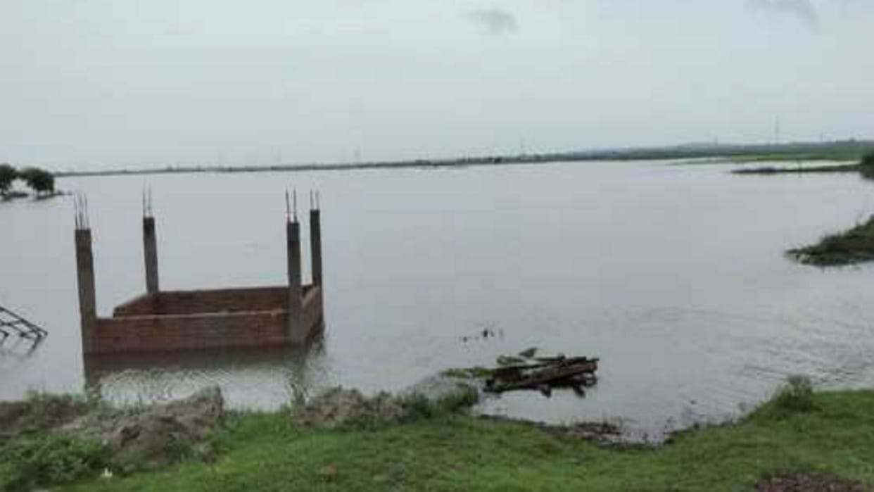 Prayagraj Flood: Crops sown in more than two thousand hectares were destroyed by the flood