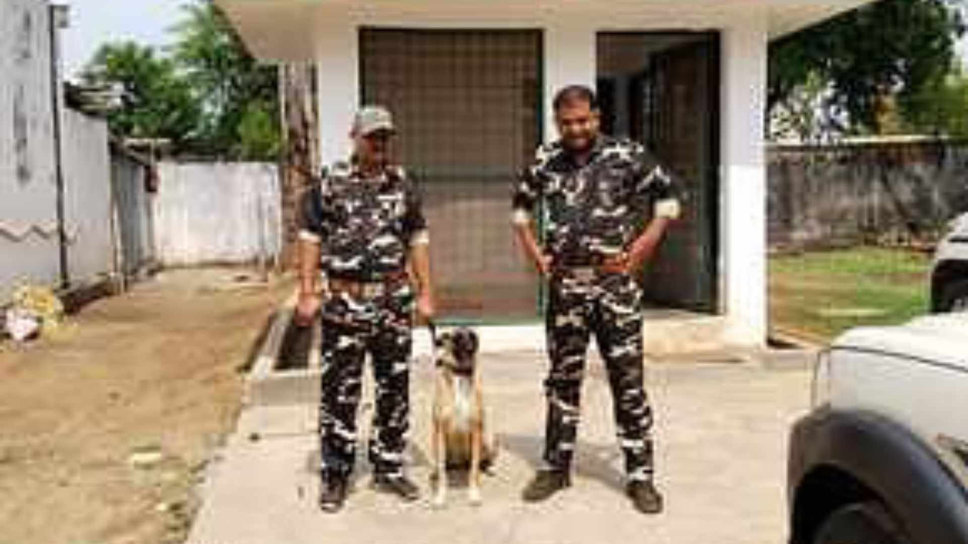 बांधवगढ़ में खोजी डॉग 'जिनी' के चर्चे