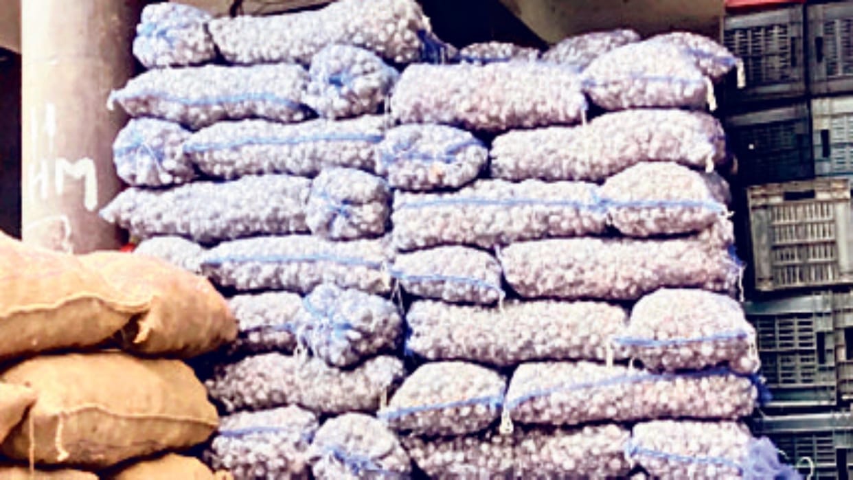 Himachal: Seed garlic reached Solan market, will be available at half price