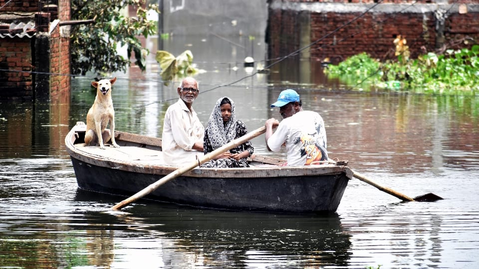 Prayagraj flood news 70,000 Left Homeless as Ganga-Yamuna Floodwaters Recede Know Details in Hindi
