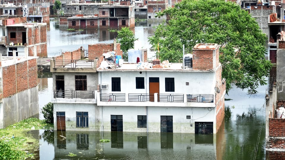 Prayagraj flood news 70,000 Left Homeless as Ganga-Yamuna Floodwaters Recede Know Details in Hindi