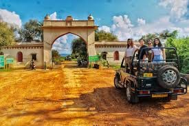 अलवर: तीन महीने बाद फिर गूंजेगी सरिस्का में जंगल की आवाज, एक अक्तूबर से शुरू होगी टाइगर सफारी