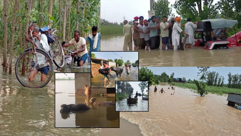 Boats Sail on Highway as Malan River Embankment Breaks, Bijnors Direct Link to Meerut Severed