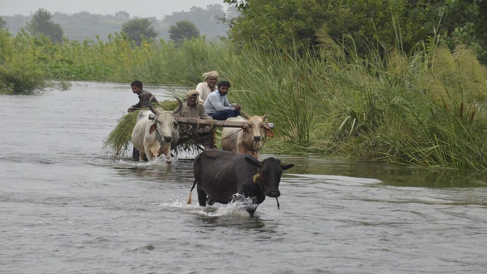 Muzaffarnagar: Ganga overflowed, only water in Khadar, people said - celebrate Raksha Bandhan or save life