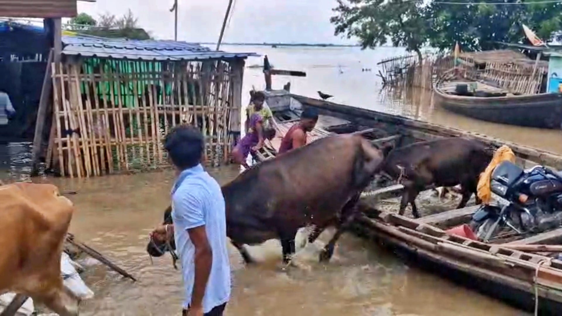 Patna Flood: Water level rises in Ganga, six gram panchayats of Danapur submerged in flood waters