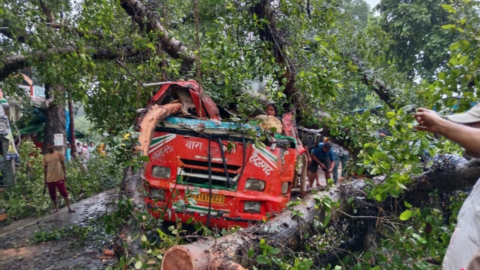 Barabanki accident Tree fell on bus 5 people including two assistant development officers and headmaster died
