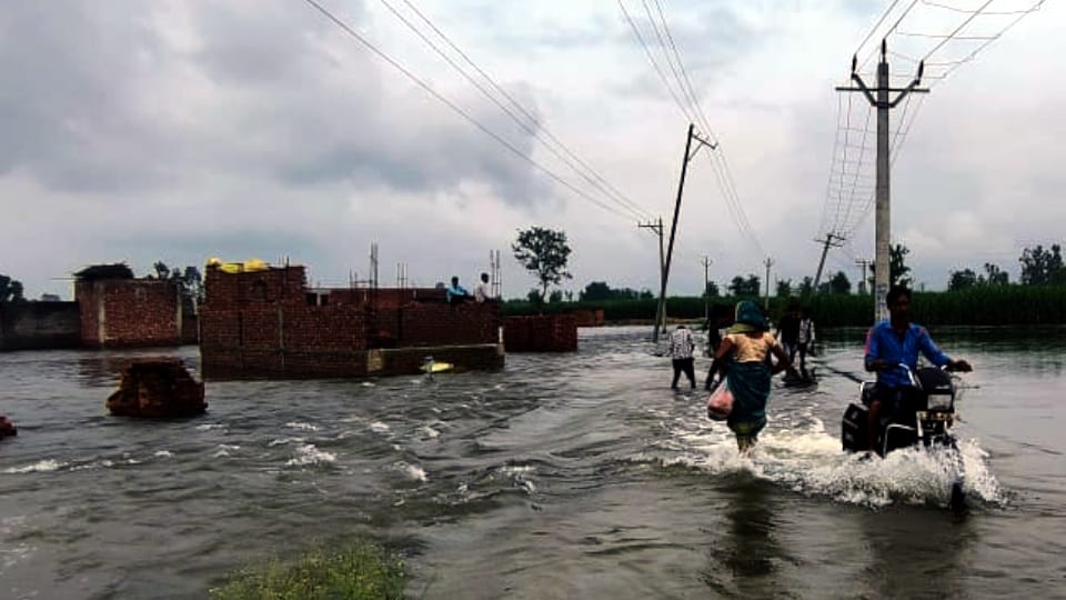 Flood wreaks havoc in Hapur Garh Ganga water level rises by 11 centimetres touches 199.57 metre mark
