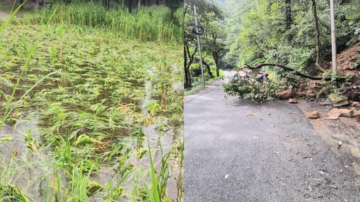 Himachal Weather: roads including Chandigarh-Manali highway blocked due to landslide, alert for heavy rain in