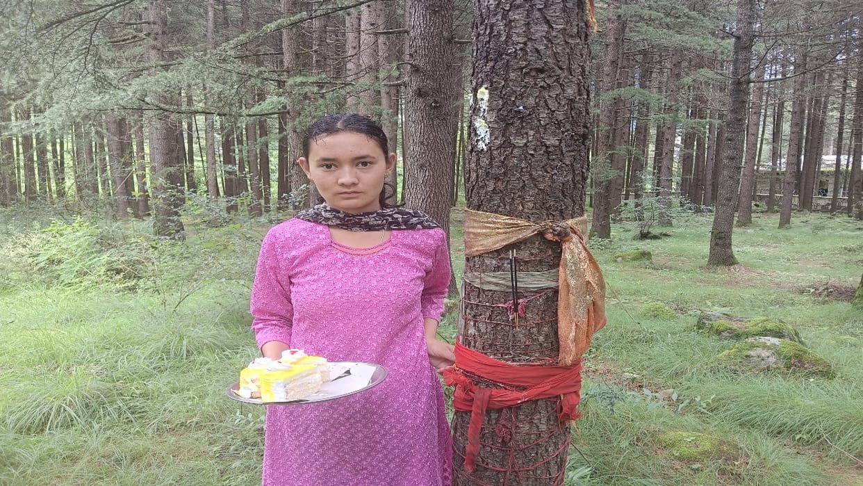 Raksha Bandhan: Kalpana thakur of Manali tied Rakhi to a 17 year old deodar tree