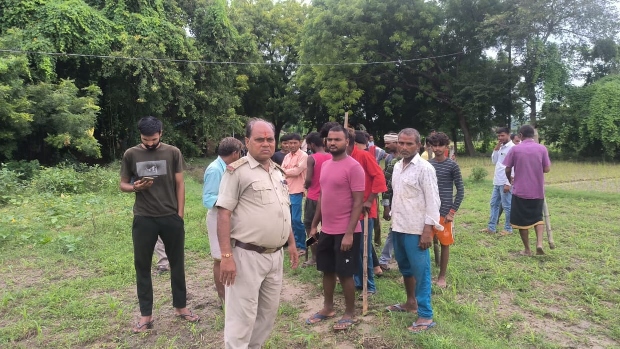 Prayagraj News: Leopard again reached Sudnipur in Sarai Inayat, chased the farmer, attacked the calf