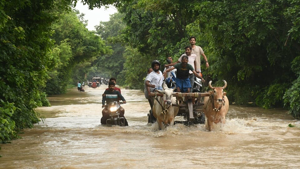 Water entered Moradabad city: Administration issued alert, crisis in villages too, pictures of Ramganga