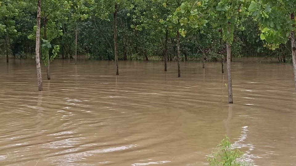 Heavy and intense rainfall caused by western disturbance and monsoon Uttarakhand Weather News