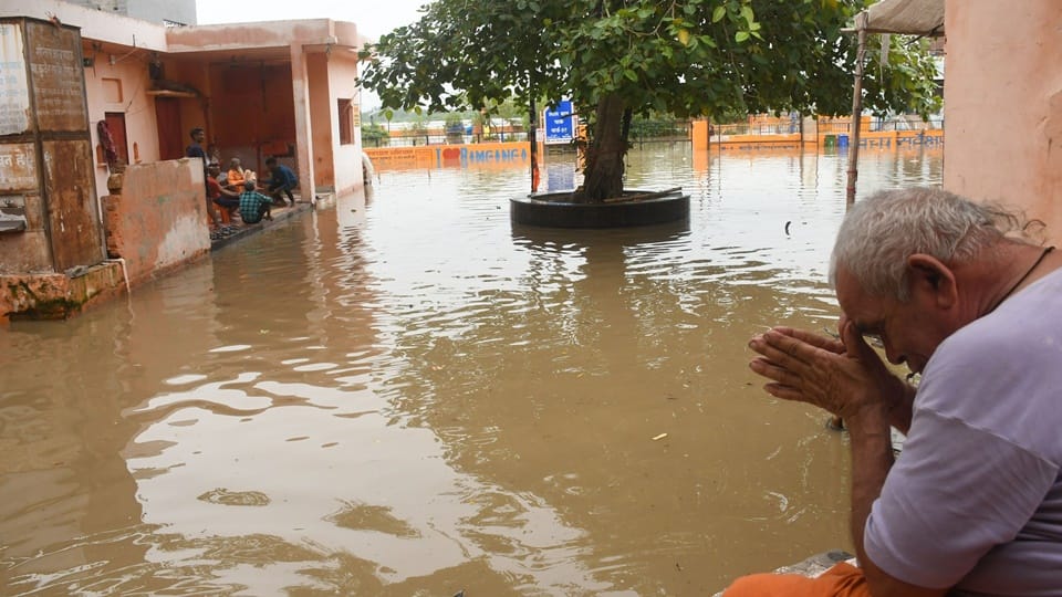 Moradabad: Water filled in Dariyapur, three pregnant women rescued safely, leopard climbed a tree