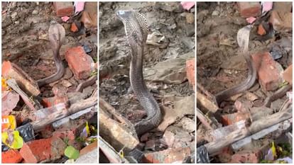 UP: जब नागराज ने खुद आकर सुलझाया विवाद! नीलकंठ महादेव मंदिर की जमीन पर मिला कब्जा; इलाके में बना चर्चा का विषय All the disputes ended after the darshan of Nagraj in Mahadev temple