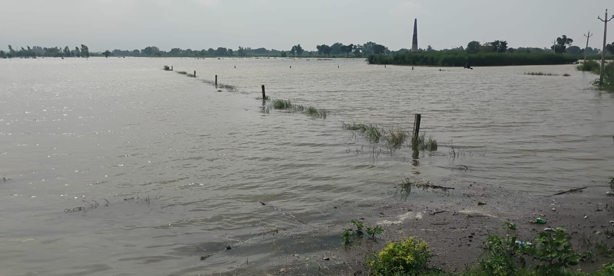 Flood in UP Due to rising water level of Yamuna water entered villages in Mathura