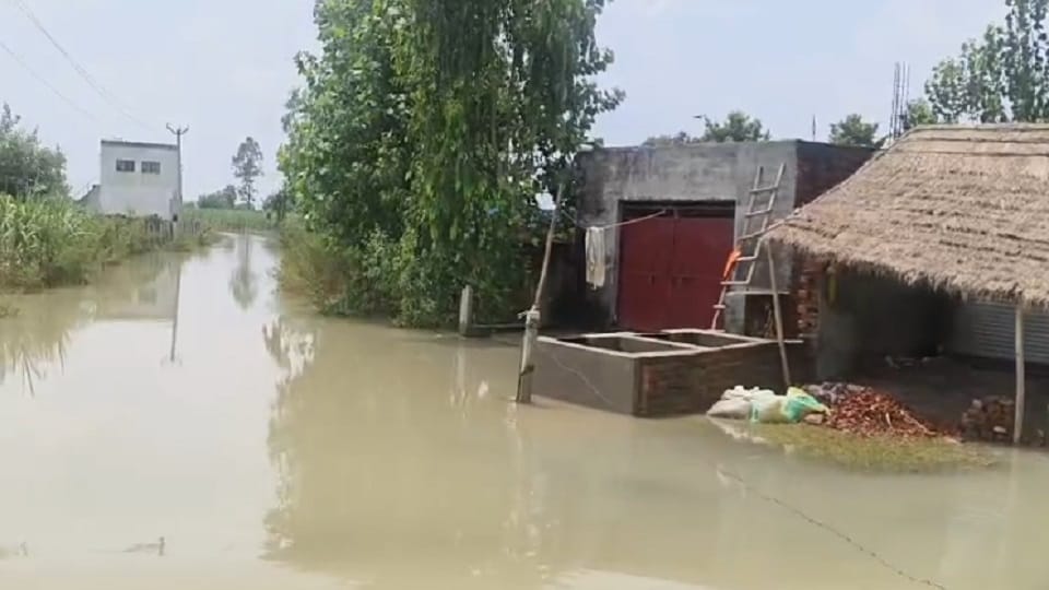due to flood condition of villages not improving snakes and insects increased difficulties