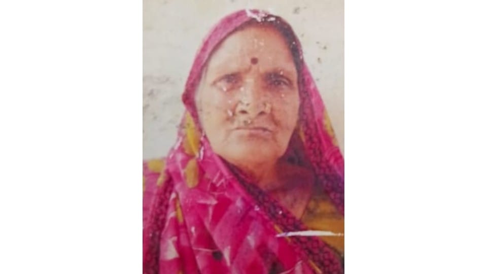Two people including a woman died in Hathras road accidents