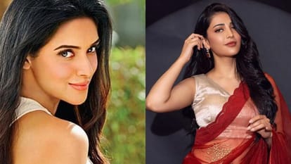 South Superstars Who Made a Mark in Bollywood From Rajinikanth to Tamannaah Bhatia