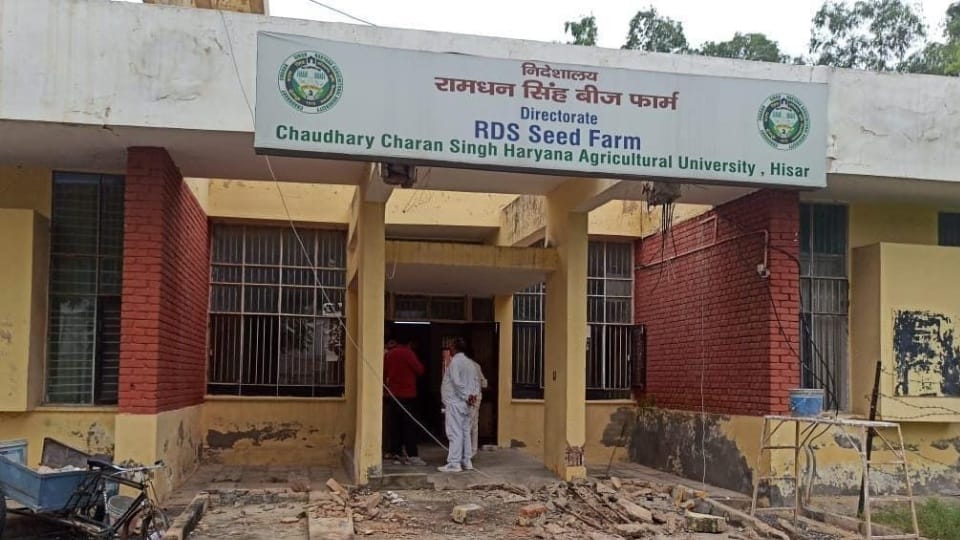 Balcony falls on employee in HAU Hisar death