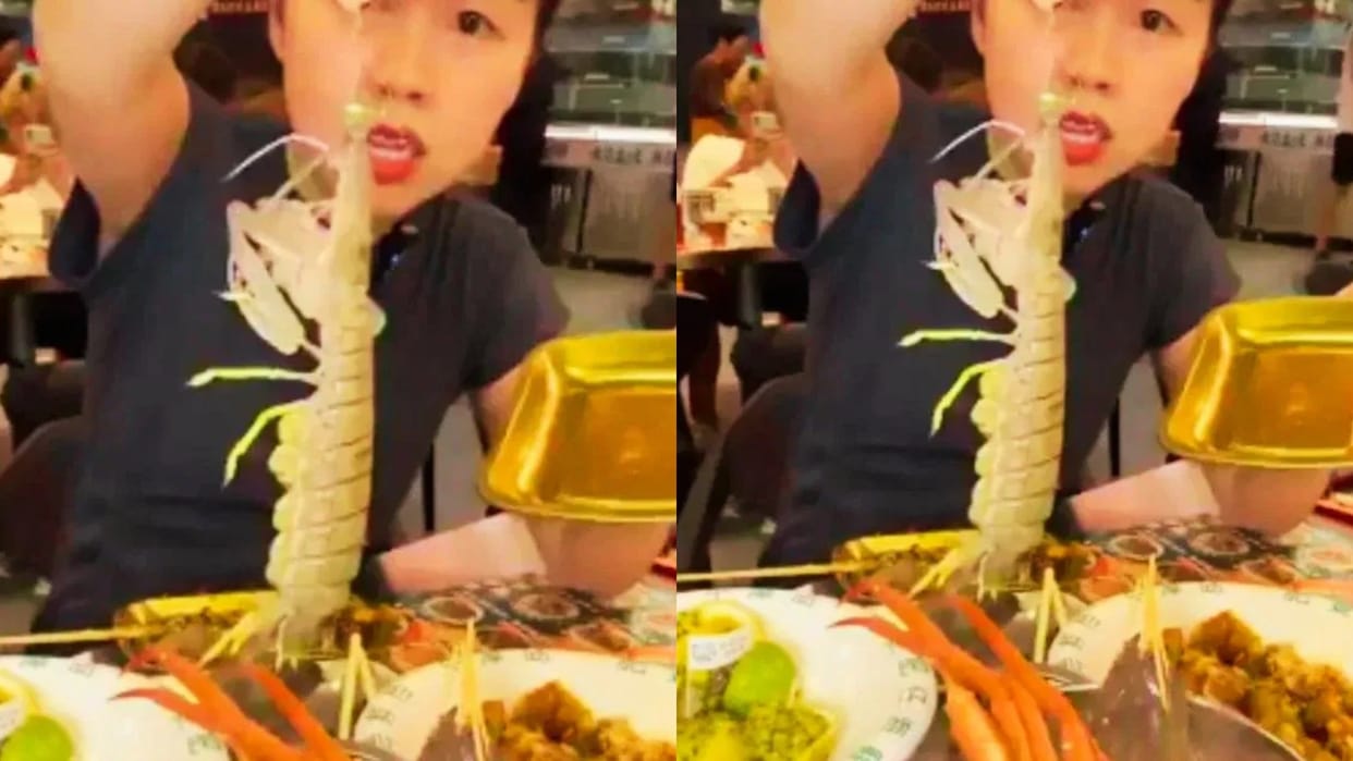 The girl was going to eat a live prawn, then the creature turned around and took revenge Video viral