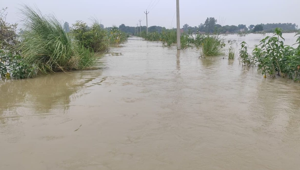 Hundreds of acres of crops submerged due to breach in Kalani Rajbaha in kasganj