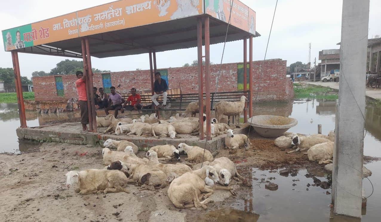 Flood in ganga river in Kasganj in Uttar Pradesh