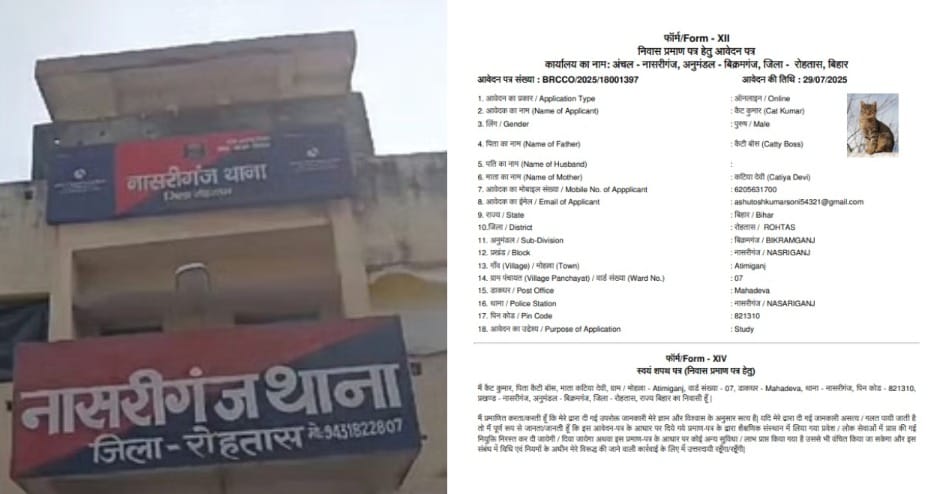 rohtas bihar news: fake application received for residential certificate with cat photo and absurd details