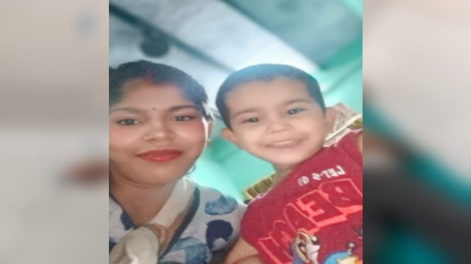Two from Lahchaura Family Killed in Road Accident Near Jaipur on Way to Khatu Shyam Darshan