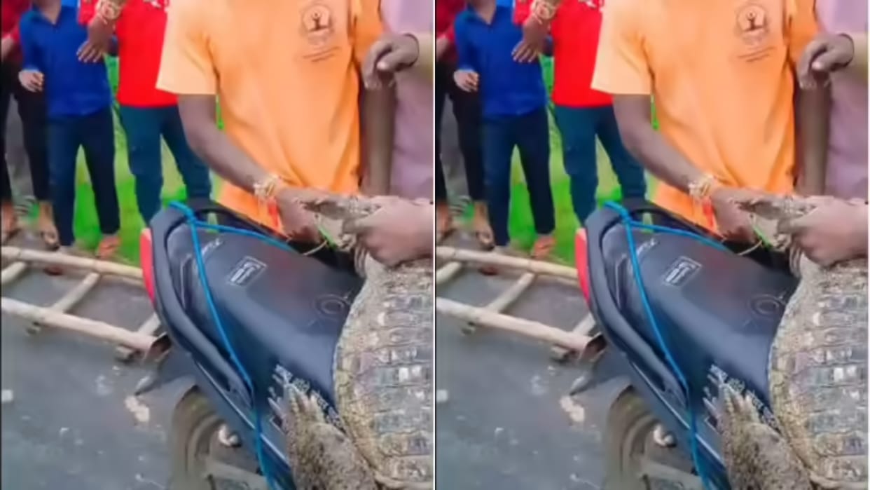 Boys bullying first they laid crocodile on the bike then three boys sat on it Video goes Viral on Internet