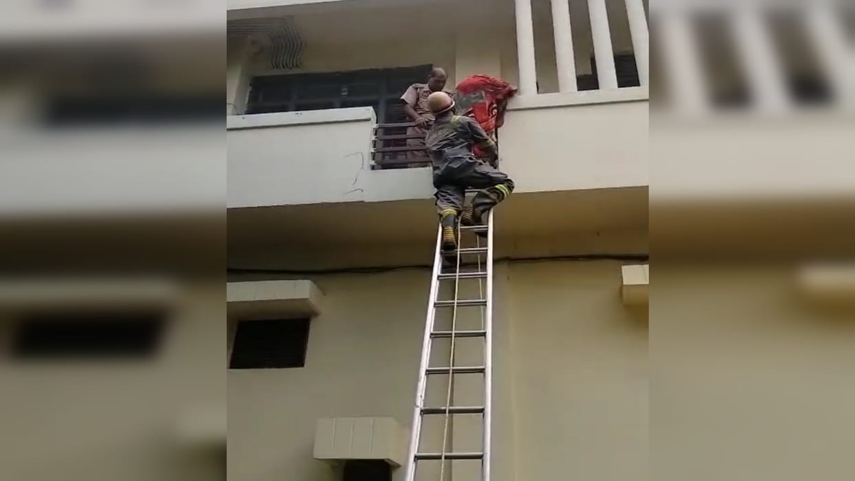 Prayagraj News: A huge fire broke out in an electronic warehouse, three people including an elderly woman were