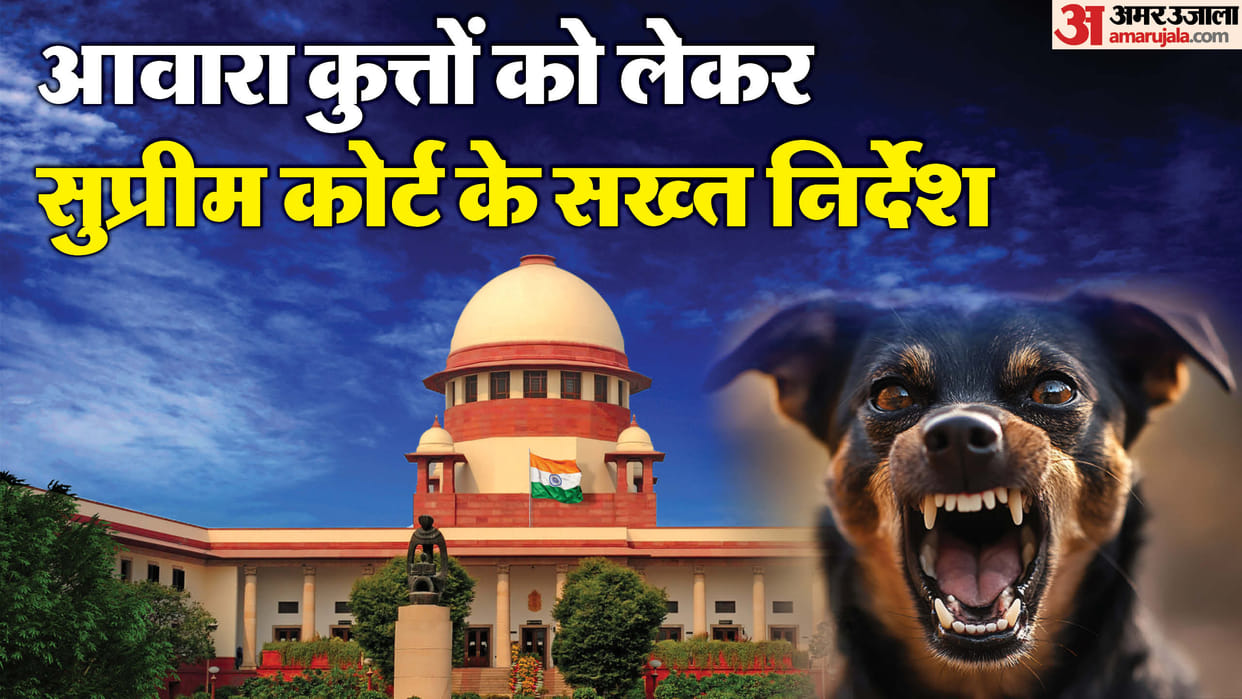 Cases related to stray dogs across the country will now be heard in the Supreme Court
