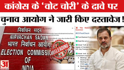 EC Vs Rahul Gandhi: EC releases documents with 'fact check' on Rahul's 'vote theft' claim