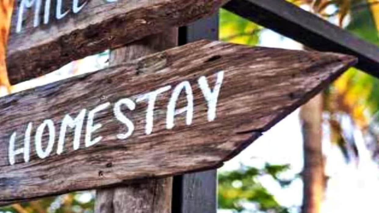 Haryana govt will provide free homestay training to the youth
