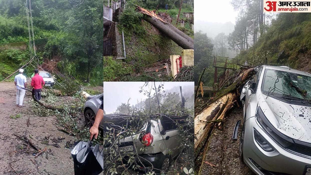 Himachal Heavy rain continues in Shimla trees fell at many places and landslide many vehicles shattered
