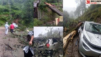Himachal Landslide: शिमला में भारी बारिश जारी, कई जगह गिरे पेड़, भूस्खलन से नुकसान; कई गाड़ियां चकनाचूर Himachal Heavy rain continues in Shimla trees fell at many places and landslide many vehicles shattered