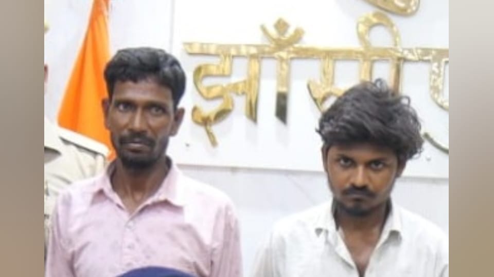 UP Honour Killing Row Man Murders Sister and Her Lover Over Dispute in Jhansi news in Hindi