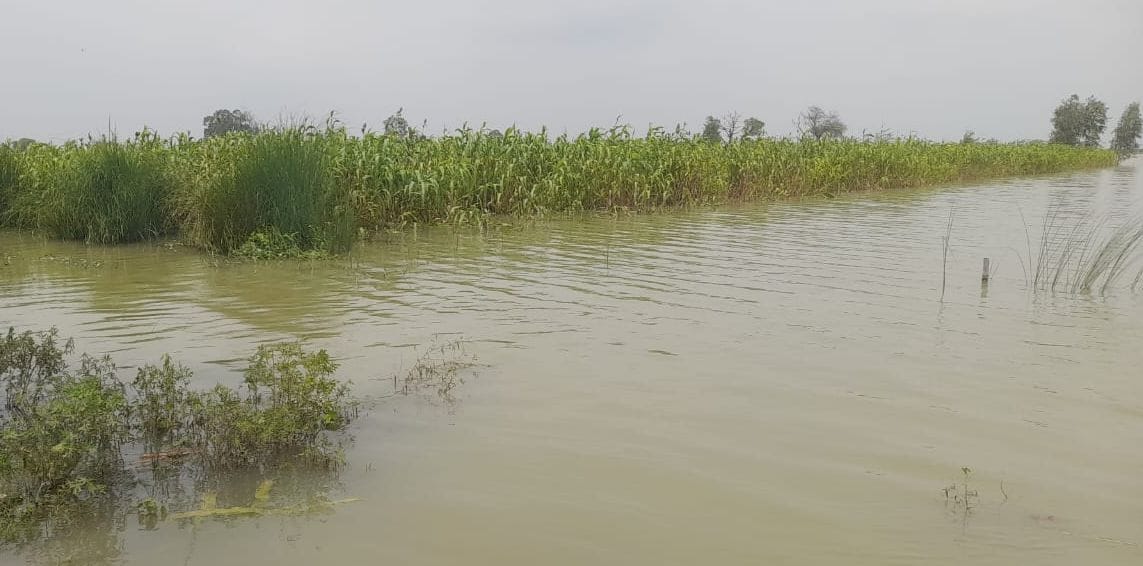 Moradabad: Two teenagers died by drowning while bathing in Gagan river